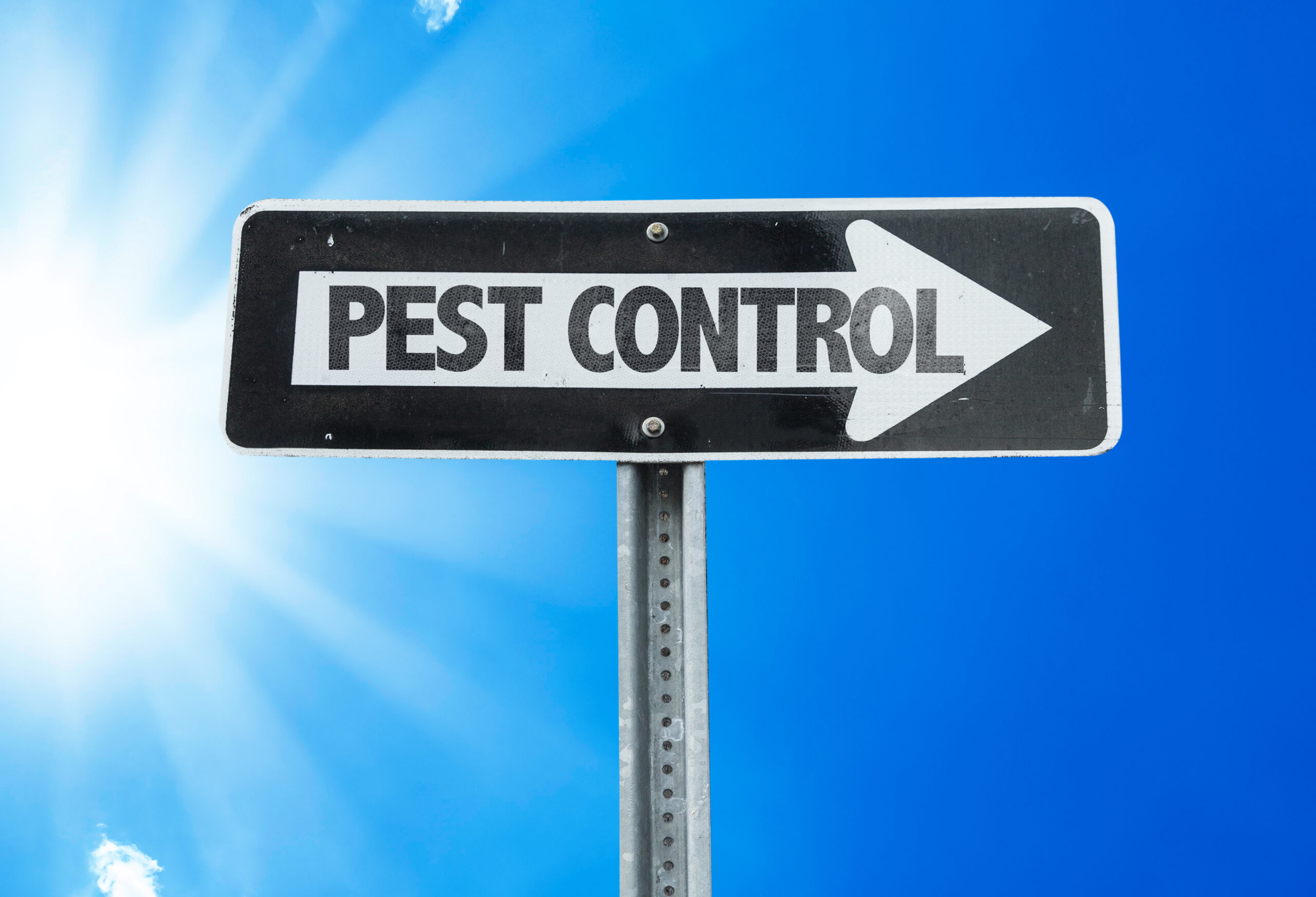 San Antonio Pest control